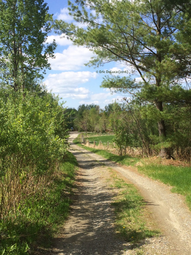 Path-Navigation-Rural